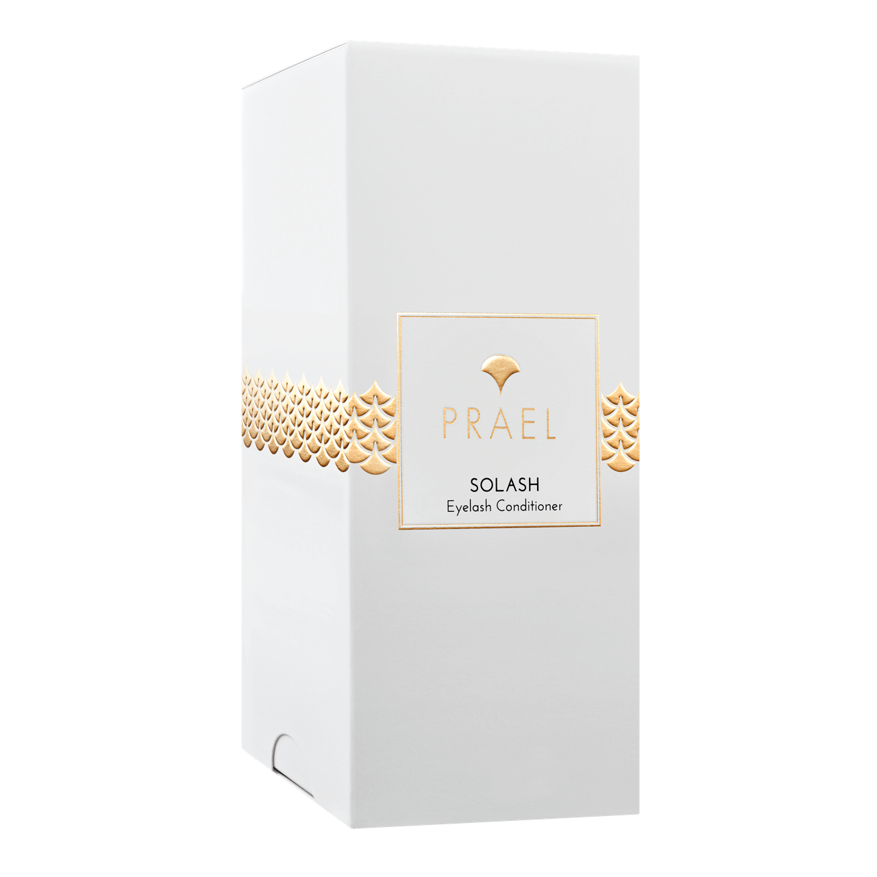 prael-solash-box prael-solash-box
